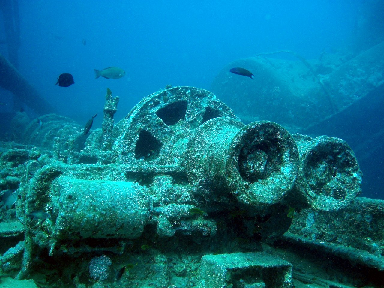 SS Thistlegorm Forrás: wikimedia commons